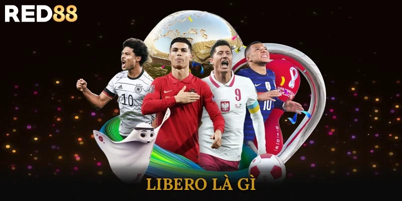 Libero Là Gì