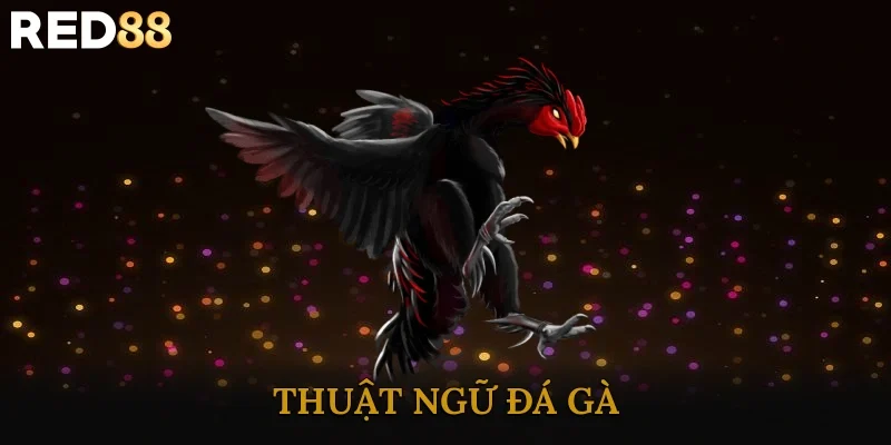 Thuật Ngữ Đá Gà