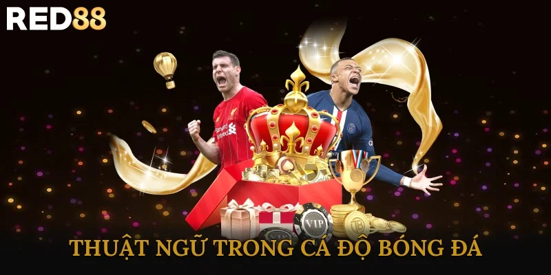 Thuật Ngữ Trong Cá Độ Bóng Đá